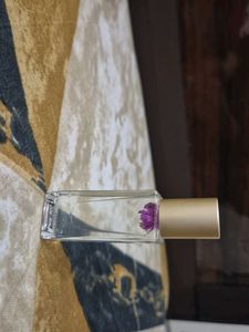 Fernweh Perfume Oil