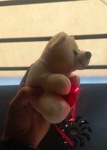 Teddy - I Love You - Cute