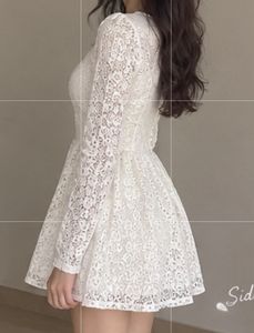 Chic Lace Long Sleeve Mini Dress