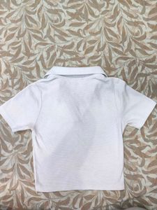 Short Sleeve Polo Neck Top