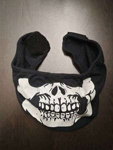 Skull Face Mask