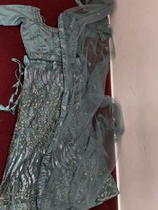 Grey Lehenga /Choli With Grand Sequence Work