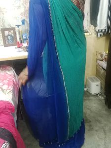 Stylish Dark Blue &amp; Light Green Saree