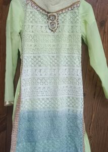 Elegant Lime Green Embroidered Salwar Kameez
