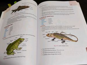Comprehensive Lab Manual in Biology Class XI