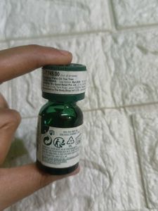 The Body ShopTea Tree Oil ( NO BARGAIN)