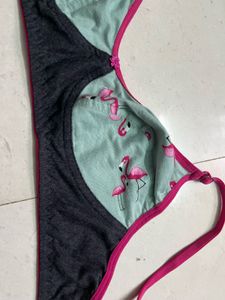Cute Flamingo Print Bra 34