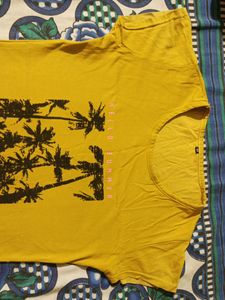 Women Mustard Yellow Colour Tshirt