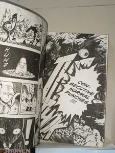 Manga Collection