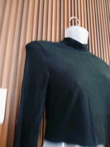 Black Turtleneck Cropped Long Sleeve Top