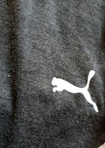 Puma Logo T-Shirt