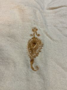 Kashmiri Coaty