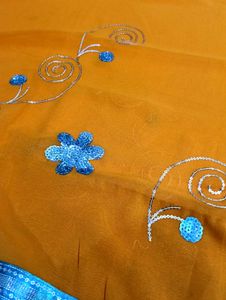 Orange Saree with Blue Embellishments
