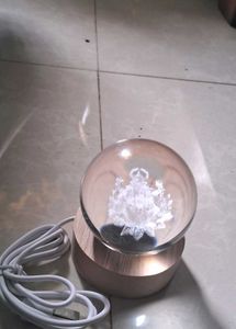 Wooden LED Lamp Base