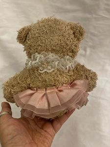 Sparkly Teddy Bear Toy