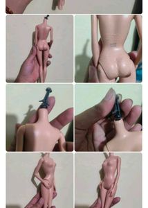 combo of dolls body