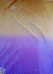 Elegant Ombre Saree