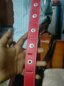 Never Used Kid's Belt