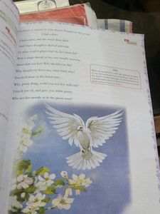 Jasper English Coursebook - Grade 7