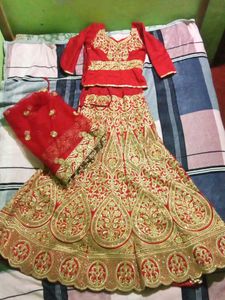 Elegant Red &amp; Gold Embroidered Lehenga Choli