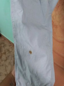 Formal Straight Pant