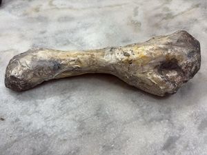 gothic decor bone element