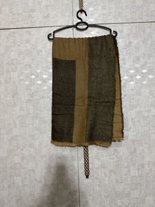 Zara Cozy Colorblock Stole