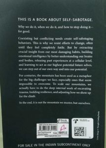 The Mountain Is You Book