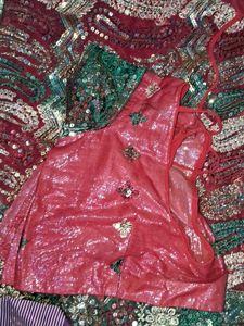Embellished Saree with Sequins