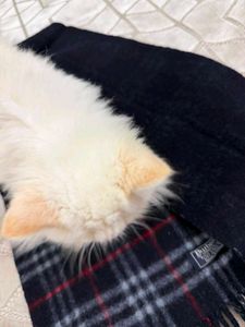 Burberry Classic Plaid Scarf