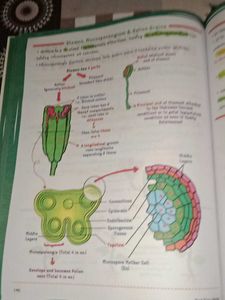 Botany Med Easy Handwritten Notes for neet