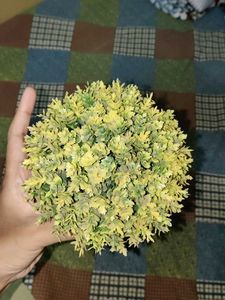 Artificial Potted Plant