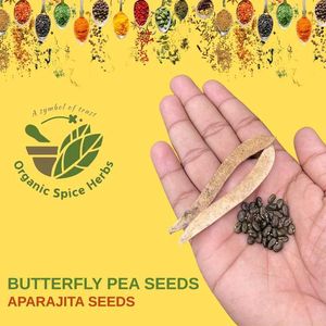 20 White Aparajita (Butterfly Pea) Flower Seeds 🌼