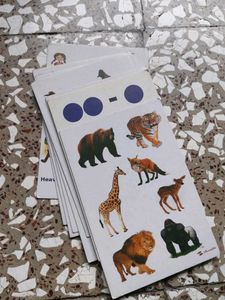 Educational Flash Cards