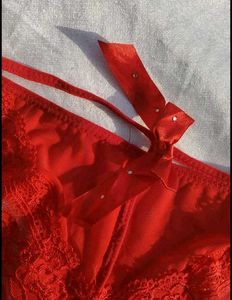 Red Lace Briefs