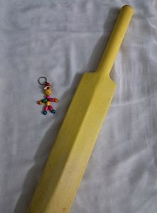 Fantastic Plastic Bat🏏