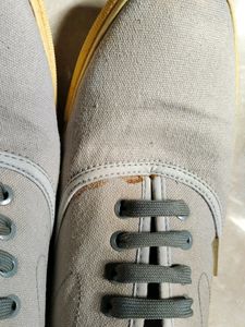 Jack And Jones Original Canvas Shoe- Small Stain