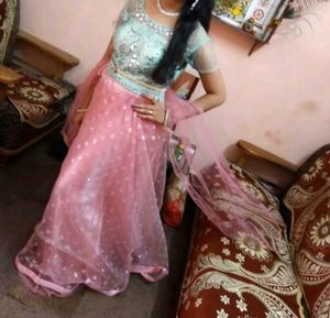 Embellished Ethnic Lehenga
