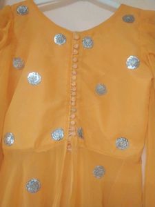 beautiful Indo Western lehenga