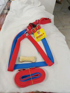 Petley Dog Body Cross Belt