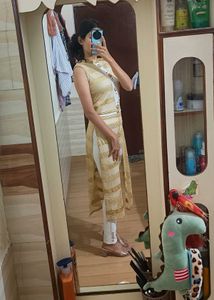 Elegant Indo-western kurta