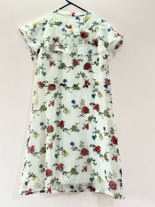Floral Print Sheer Dress