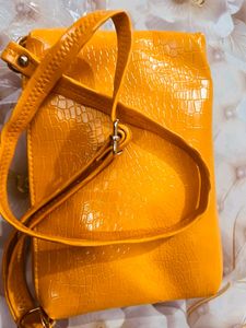 Fancy Sling Bags