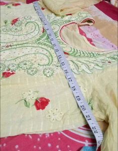Stylish Pastel Punjabi Suit