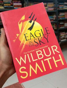Eagle in the Sky