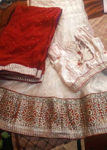 Elegant Lehenga Choli Set