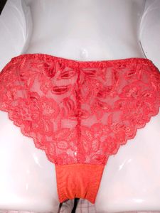 Premium Vibrant Red Floral Mesh Lace Bikini Panty