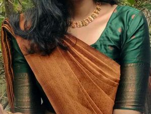 Elegant Saree with Blouse