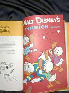 Donald Duck: Duck Luck