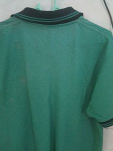 Men's Green Polo T-Shirt